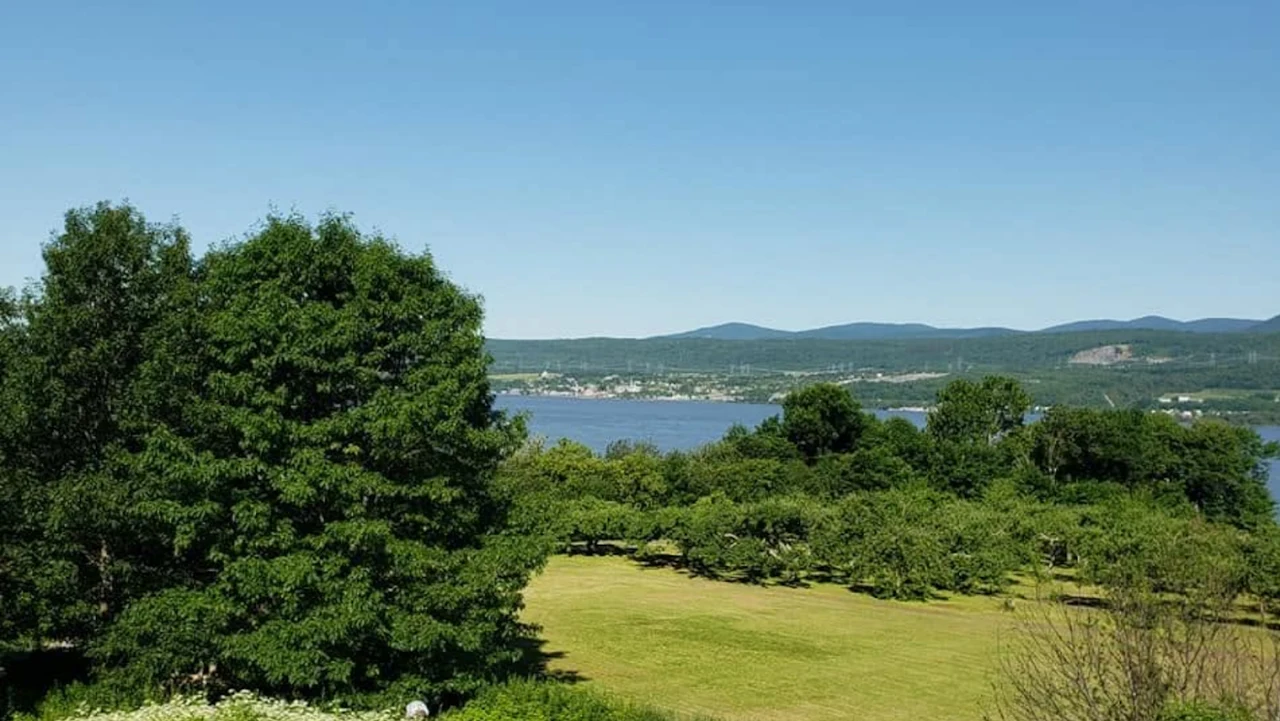 Panorama du jardin arboré de la résidence et du fleuve en été